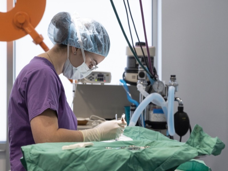 Bronx Community Veterinary Clinic