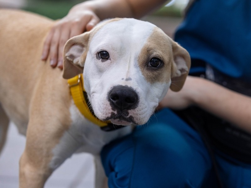 Recovery & Rehabilitation Center