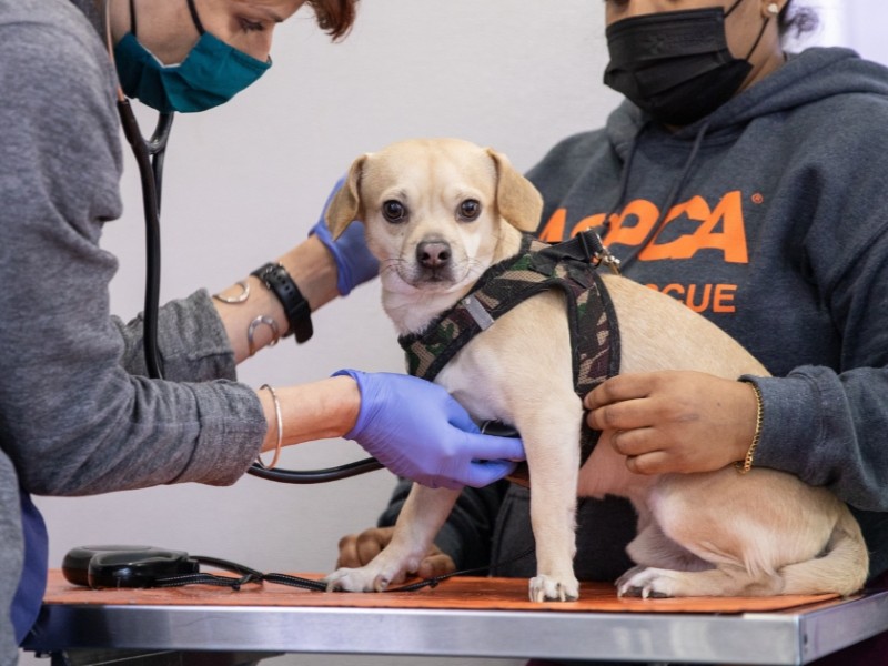 Community Engagement