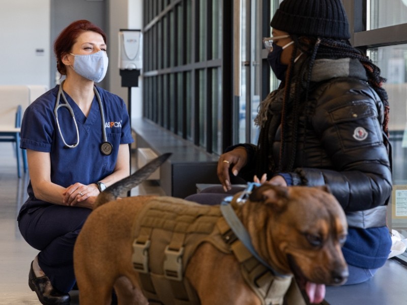 Brooklyn Community Veterinary Clinic