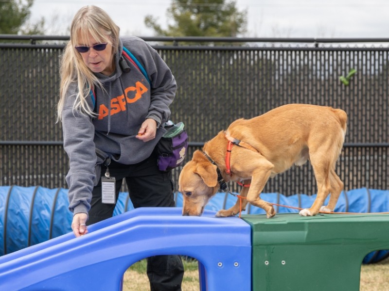 Behavioral Rehabilitation Center