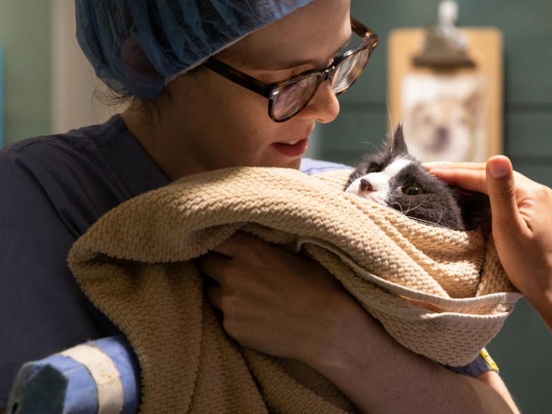 ASPCA Animal Hospital